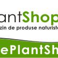 Plant Shop Plant Shop