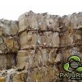 Sc Pajurca Metal Group Srl Oradea (Pajurca Metal Group Srl) Sc Pajurca Metal Group Srl Oradea (Pajurca Metal Group Srl)
