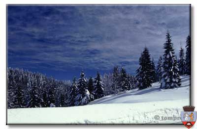 Statiunea Stana de Vale
